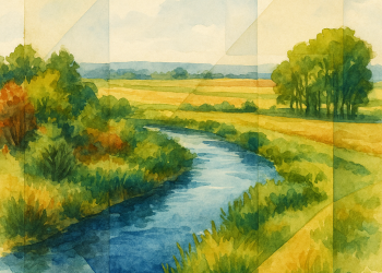 Rivière entourée de végétation, illustrant la gestion écologique et participative de l’eau à l’échelle d’un bassin versant.